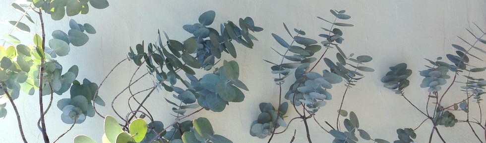 cropped-TOP_img130710.jpg