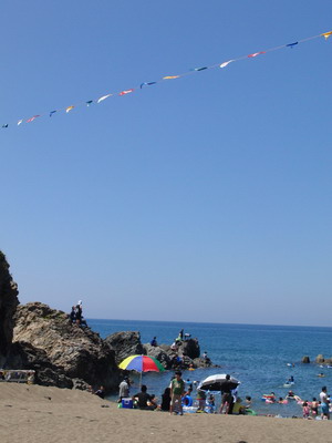 dy_110720-1.jpg