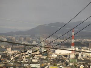 dy_111211-1