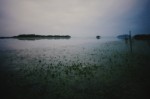 dy_141220-12