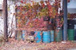 dy_141220-15