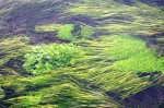 dy_141220-16