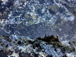 dy_150620-4