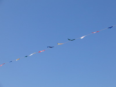 iv_110721