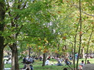 iv_111112-5