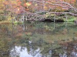 iv_131104-9