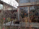 iv_131218-6