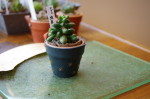 iv_150317_10