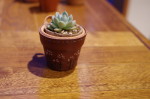 iv_150317_12