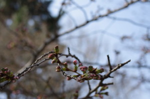 iv_150323-3