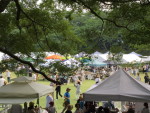 iv_150607-2