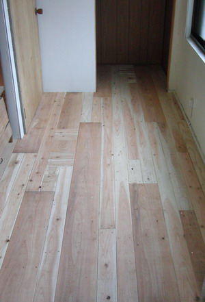 kt_110517-3.jpg