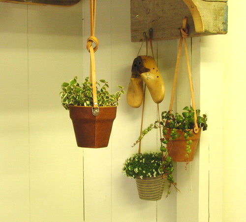 sh_110415-2.jpg
