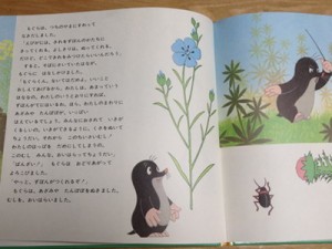so_030804--2