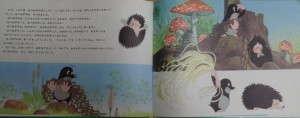 so_030804--6