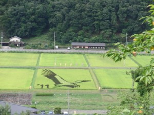 so_110831-13