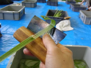 so_120609-9