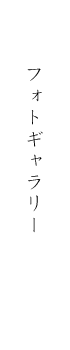 フォトギャラリー