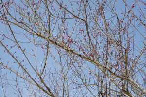 dy_170409-2