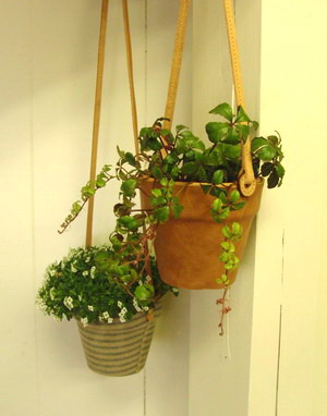 planter_3